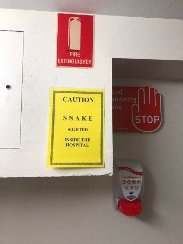 Crazy Australia (35 pics)