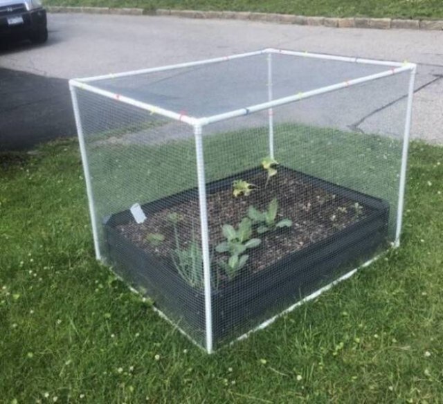 Weird DIY Crafts (18 pics)