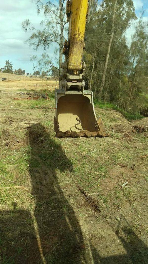 Crazy Australia (35 pics)