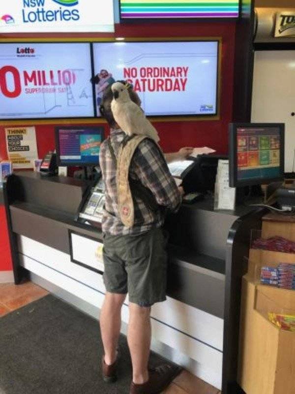 Crazy Australia (35 pics)