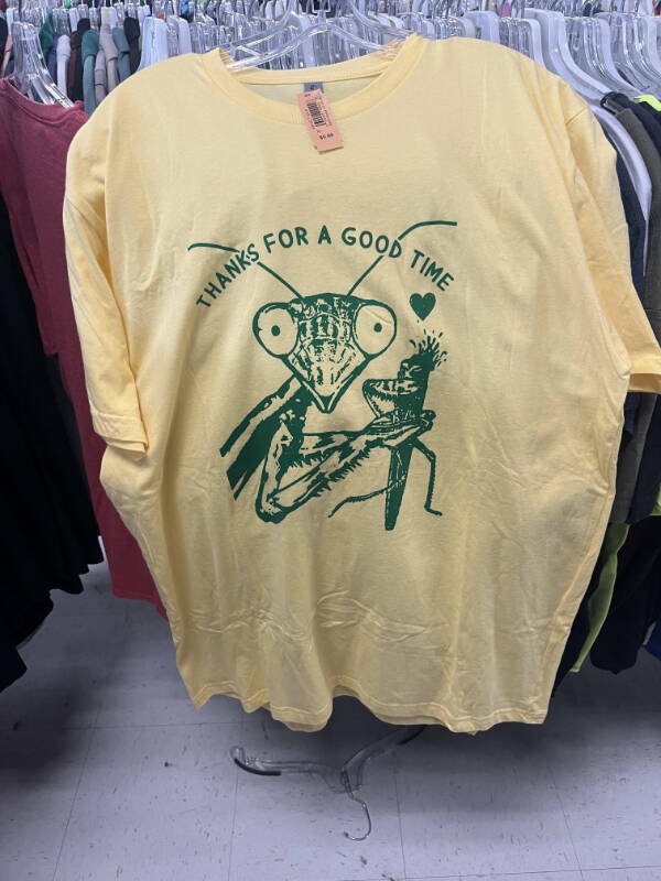 Cool Finds In Thrift Shops (25 pics)
