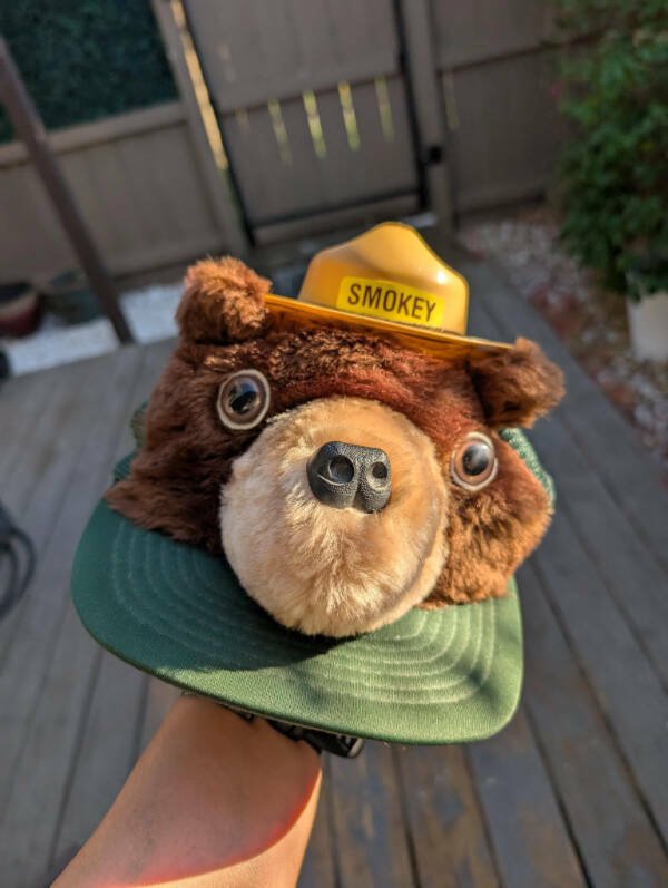 Cool Finds In Thrift Shops (25 pics)