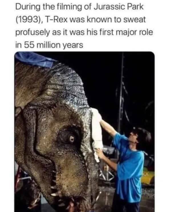 Kind Memes (31 pics)