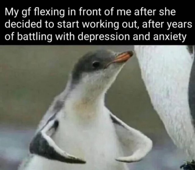 Kind Memes (31 pics)