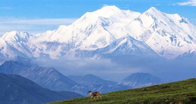 Unusual Facts About USA (45 pics)