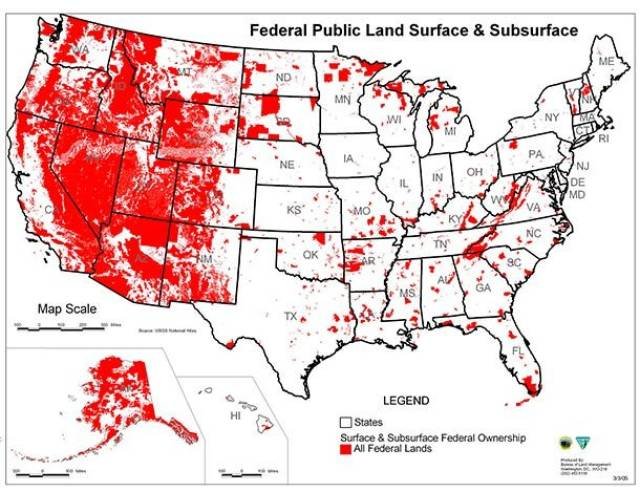 Unusual Facts About USA (45 pics)