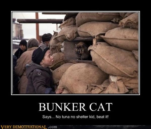 Funny Demotivators (14 pics)