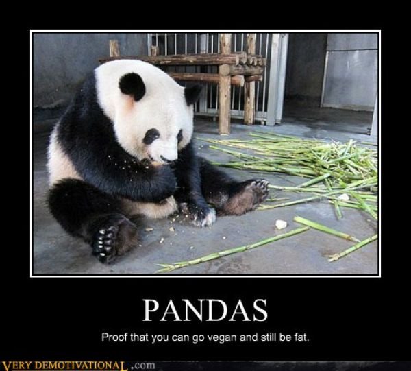 Funny Demotivators (14 pics)