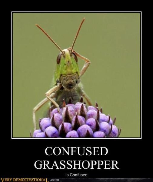 Funny Demotivators (14 pics)