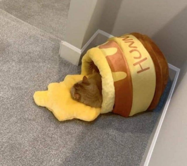 Unexpected Finds (48 pics)