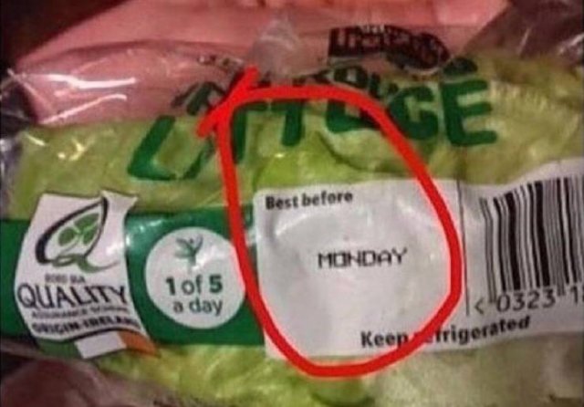 Strange Finds And Situations (45 pics)