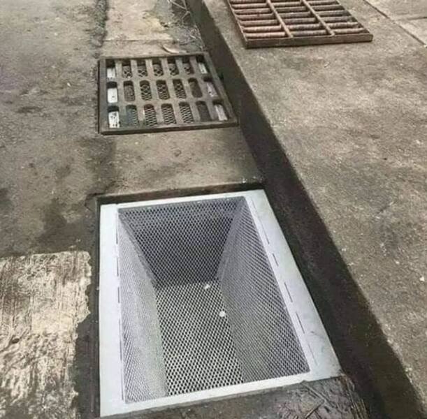 Unexpected Finds (48 pics)