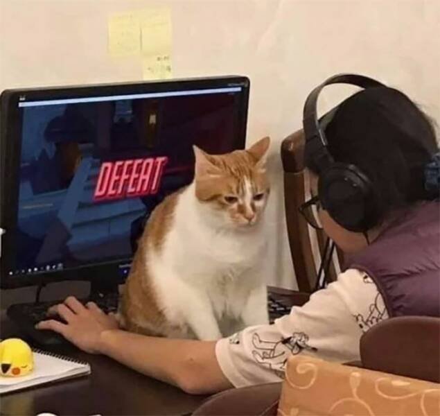 Memes For Gamers (28 pics)