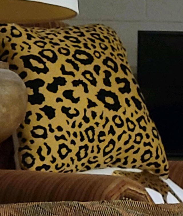 Unexpected Finds (48 pics)