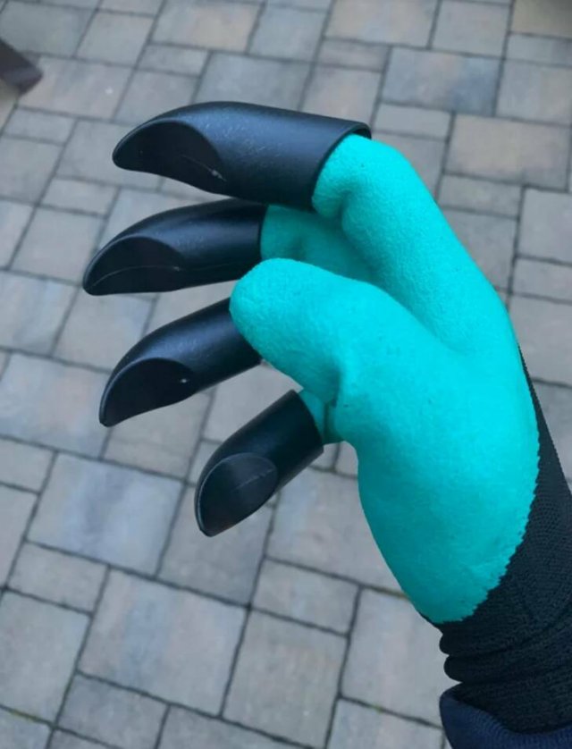 Unexpected Finds (48 pics)