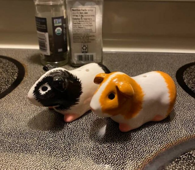 Unexpected Finds (48 pics)