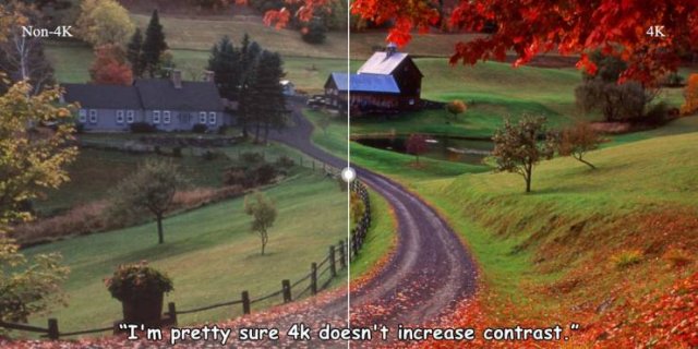 Strange Finds And Situations (45 pics)