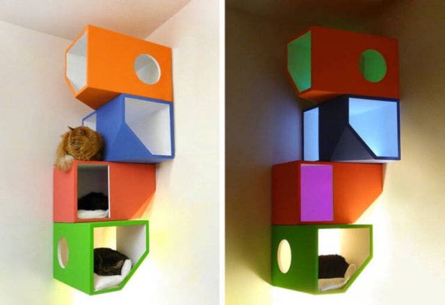 Unexpected Finds (48 pics)