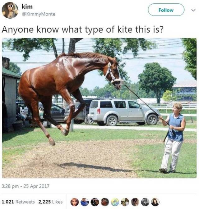 Women's Tweets And Jokes (27 pics)