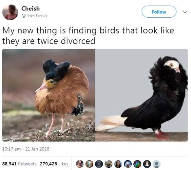 Women's Tweets And Jokes (27 pics)