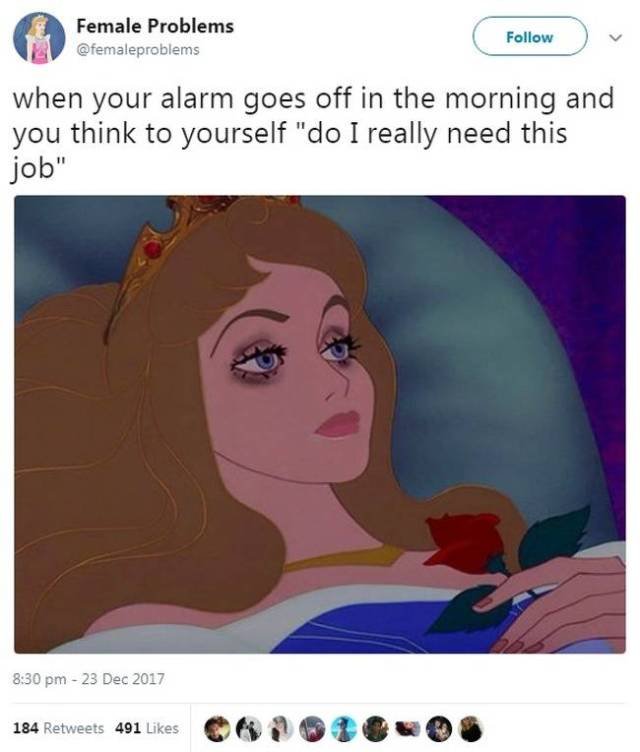 Women's Tweets And Jokes (27 pics)