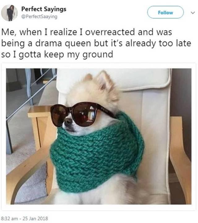Women's Tweets And Jokes (27 pics)
