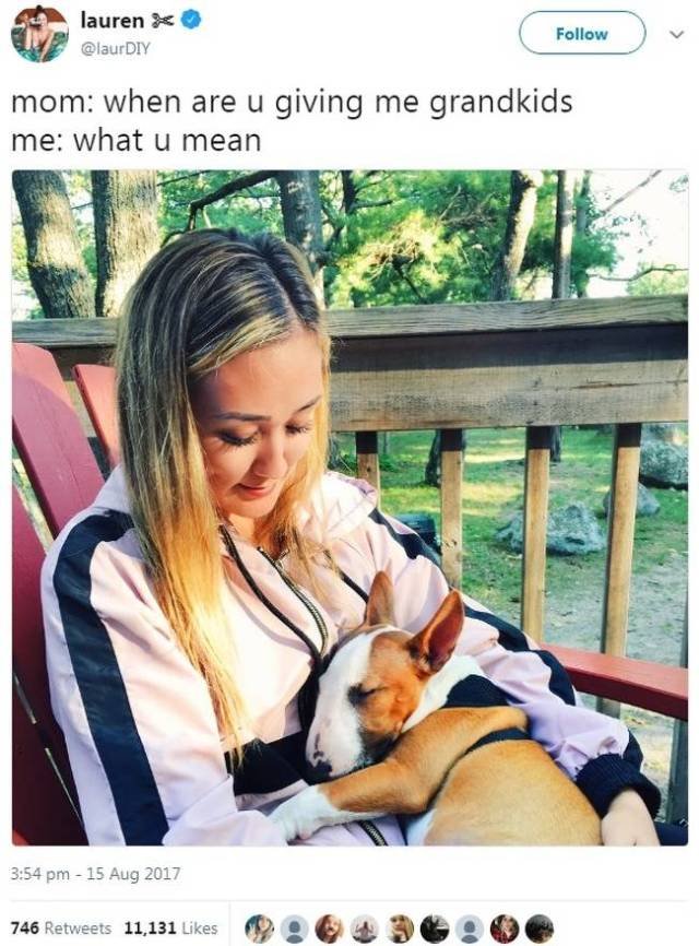 Women's Tweets And Jokes (27 pics)