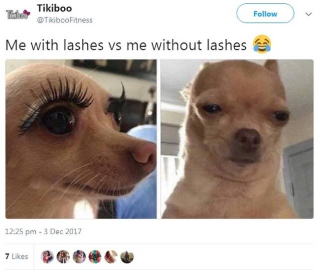Women's Tweets And Jokes (27 pics)