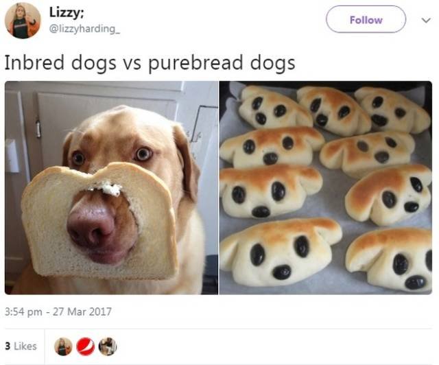 Women's Tweets And Jokes (27 pics)