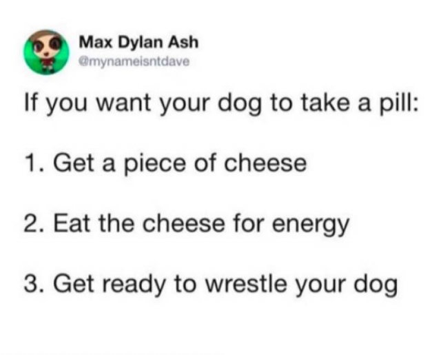 Memes With Dogs (24 pics)