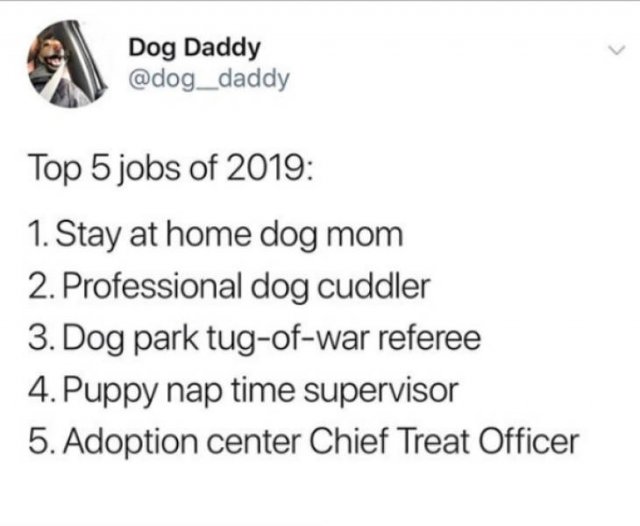 Memes With Dogs (24 pics)