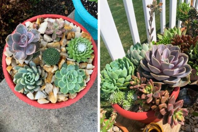 Radical Changes (19 pics)