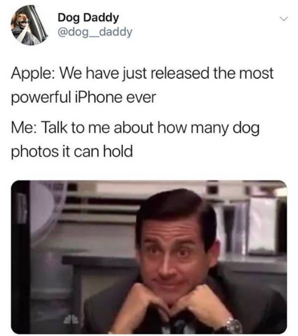 Memes With Dogs (24 pics)