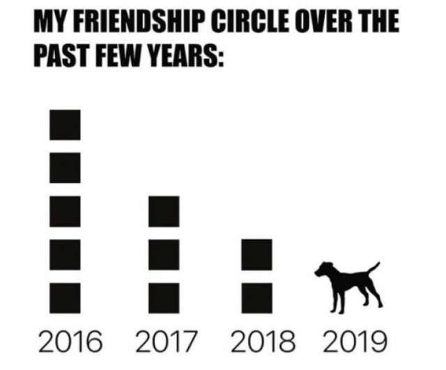 Memes With Dogs (24 pics)