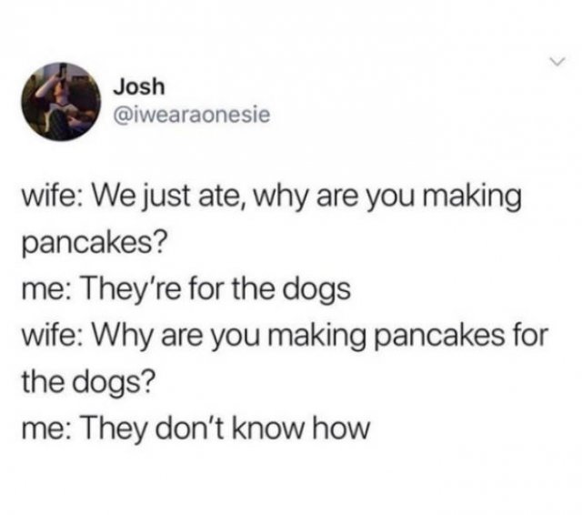 Memes With Dogs (24 pics)