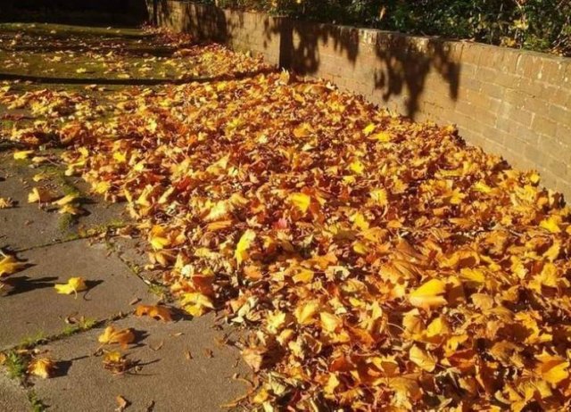 A Little Bit Of Nostalgia (17 pics)