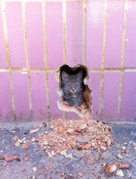 Cool Photos From Around The World (45 pics) Cool Photos From Around The World (45 pics)