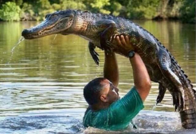 They Don't Care About Safety (44 pics)