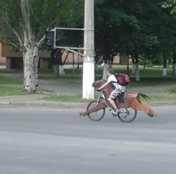 Cool Photos From Around The World (45 pics) Cool Photos From Around The World (45 pics)