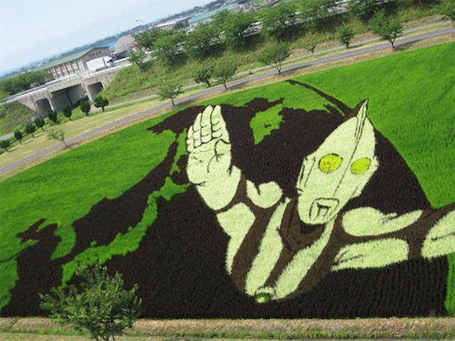 Cool Photos From Around The World (45 pics) Cool Photos From Around The World (45 pics)