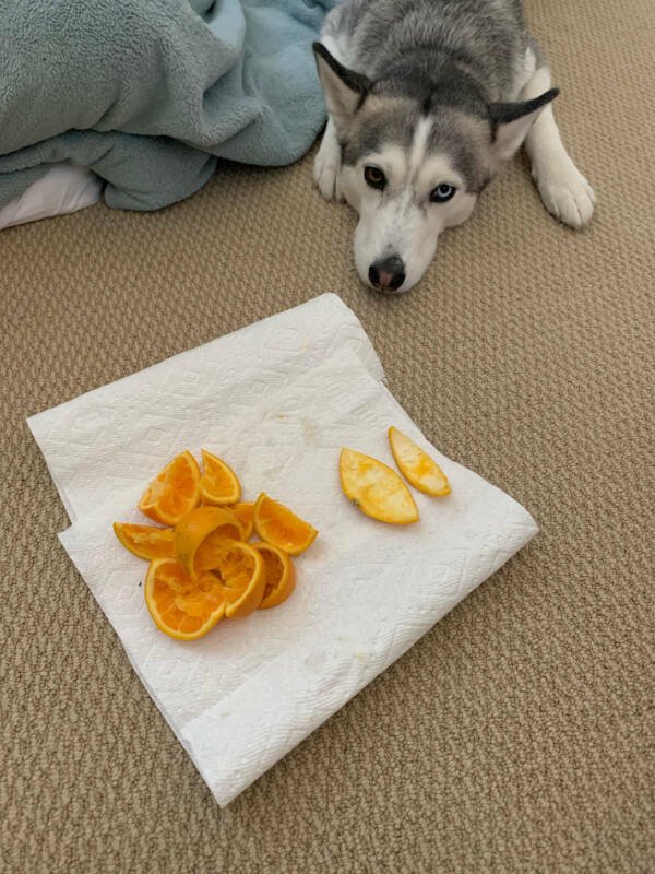 Annoying Finds And Situations (17 pics) Annoying Finds And Situations (17 pics)