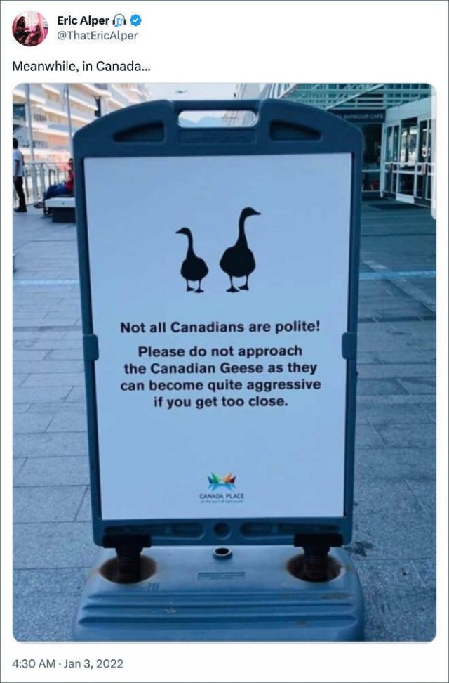 Jokes About Canada (19 pics) Jokes About Canada (19 pics)