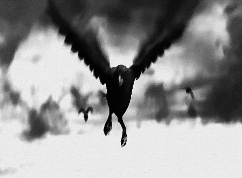 Creepy Facts (15 gifs) Creepy Facts (15 gifs)