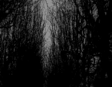 Creepy Facts (15 gifs) Creepy Facts (15 gifs)