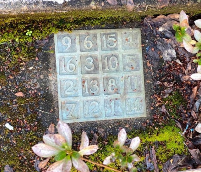 What Are These Things? (29 pics)