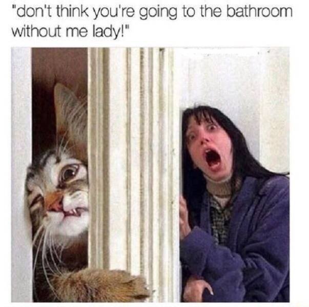 Memes And Pictures About Failures (44 pics)