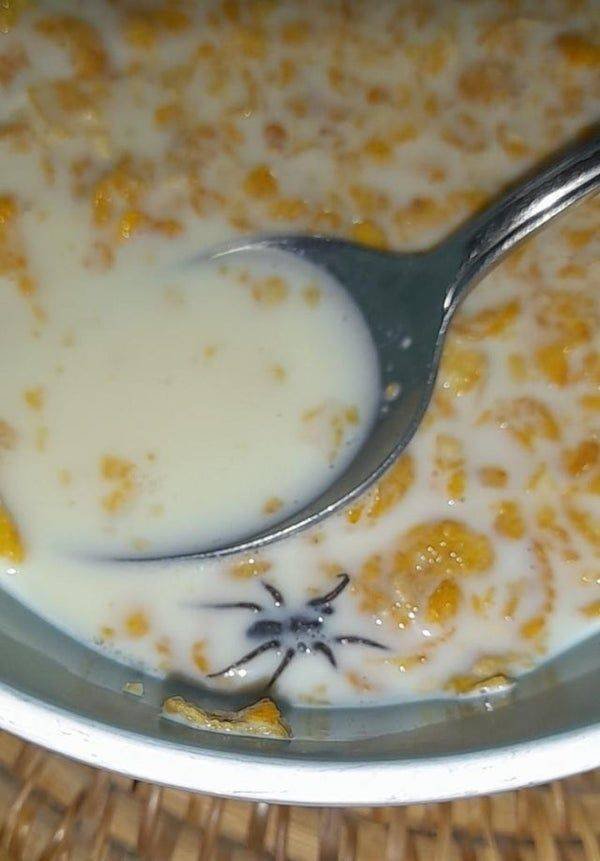 Memes And Pictures About Failures (44 pics)