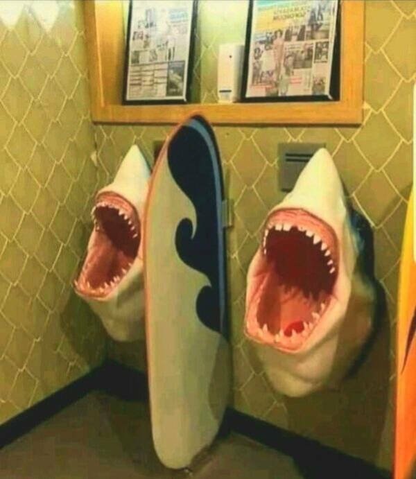 Cool Finds And Photos (19 pics) Cool Finds And Photos (19 pics)