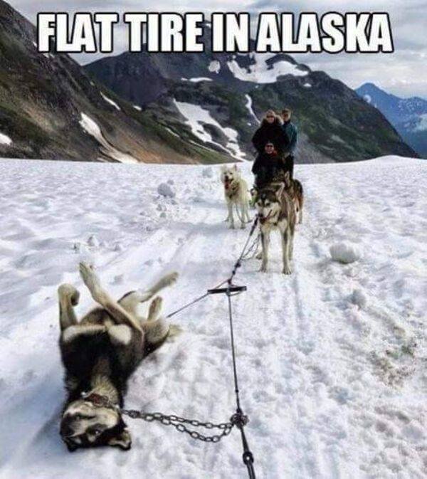 Memes And Pictures About Failures (44 pics)