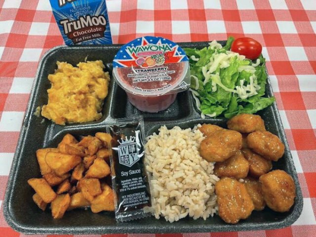 School Lunches In Different Countries (26 pics)
